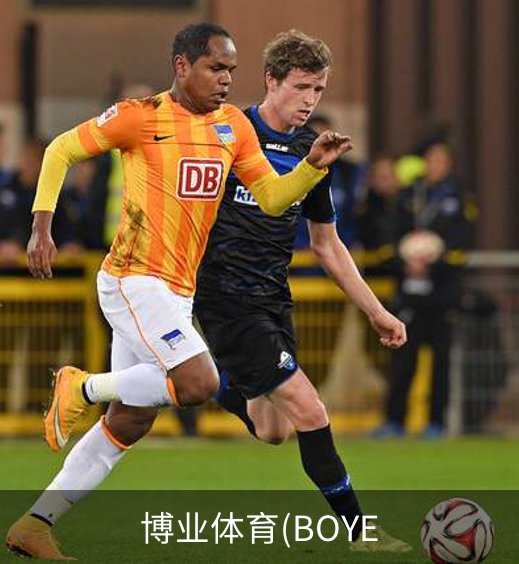 博业体育(BOYE品牌故事
